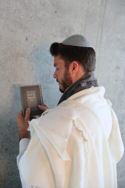 ⁦סידור אפור⁩ – תמונה ⁦2⁩