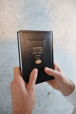 ⁦סידור צ׳ארמס כתר זהב⁩ – תמונה ⁦2⁩