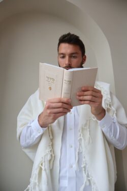 סידור צ׳ארמס חמסה זהב