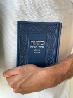 ⁦מארז פרימיום ג׳ינס⁩ – תמונה ⁦2⁩