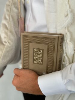 ⁦מארז פרימיום דגם ג'נובה⁩ – תמונה ⁦3⁩