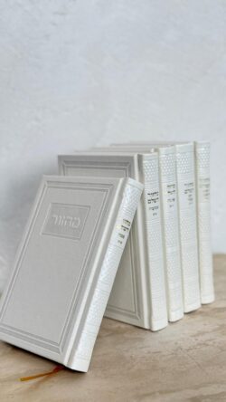 ⁦סט מחזורים לבן⁩ – תמונה ⁦3⁩
