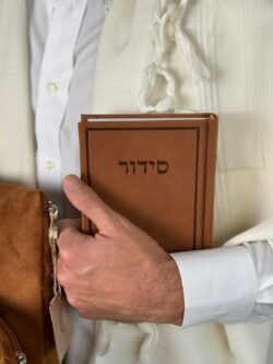 ⁦מארז פרימיום ז׳מש חום⁩ – תמונה ⁦3⁩