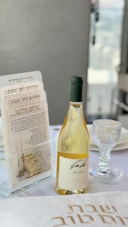 ⁦מעמד קריסטל לברכונים⁩ – תמונה ⁦4⁩