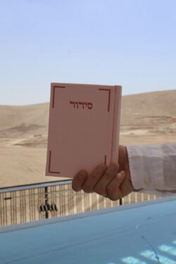 סידור מהודר | ורוד