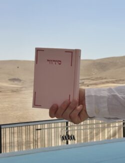 ⁦סידור מהודר | ורוד⁩ – תמונה ⁦2⁩