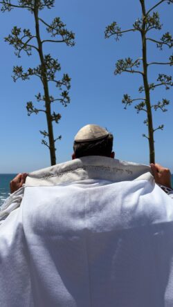 ⁦טלית דגם עמנואל⁩ – תמונה ⁦4⁩