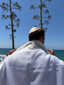 ⁦טלית דגם עמנואל⁩ – תמונה ⁦3⁩
