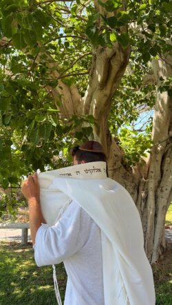 ⁦טלית דגם לורן⁩ – תמונה ⁦4⁩