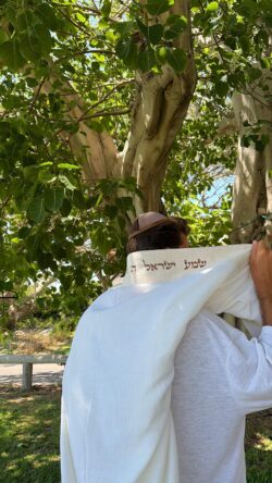 ⁦טלית דגם לורן⁩ – תמונה ⁦5⁩