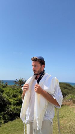 ⁦מארז דגם ROYAL⁩ – תמונה ⁦7⁩