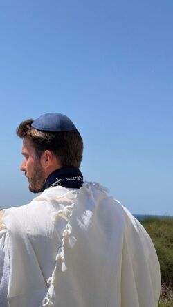 ⁦מארז דגם ROYAL⁩ – תמונה ⁦8⁩