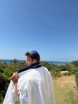 ⁦מארז דגם ROYAL⁩ – תמונה ⁦9⁩